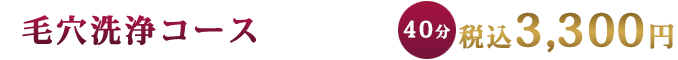 毛穴汚れ・角質除去コース